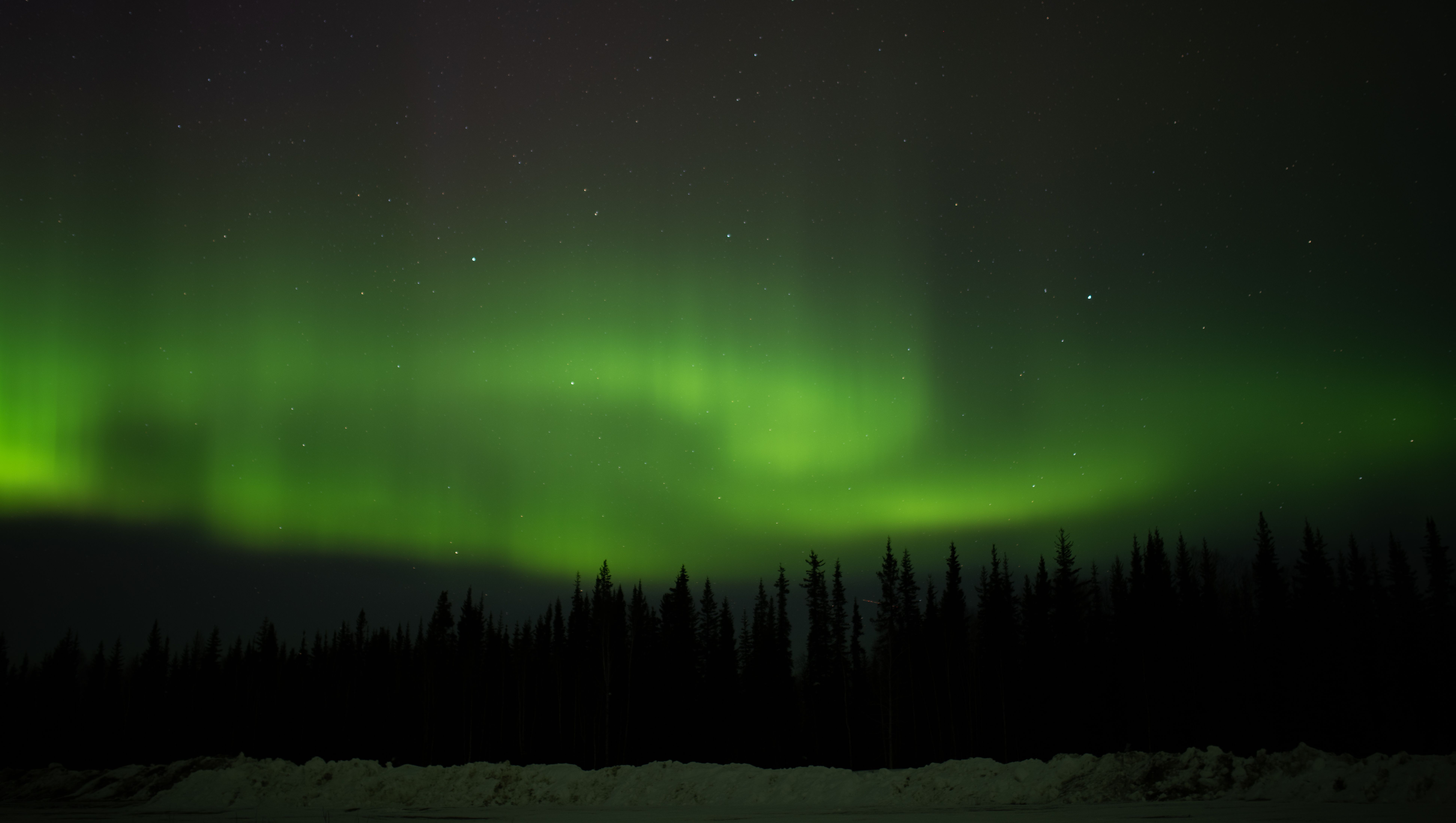 The aurora ripples over the spruce forest outside Barrow's Edge